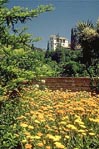 generalife garden Granada, Andalucia, Spain