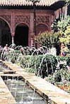 generalife garden Granada, Andalucia, Spain